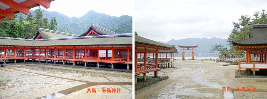 大村 淑子 ～ 今の時期にピッタリのしっとりした紫陽花です ～ -